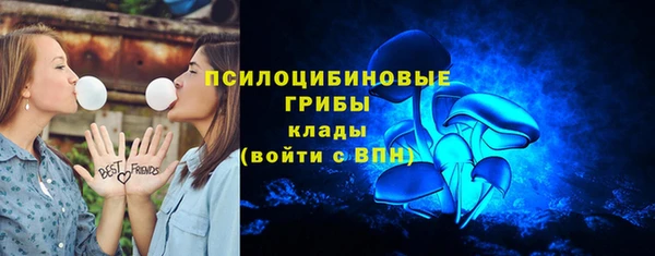 крисы Михайлов
